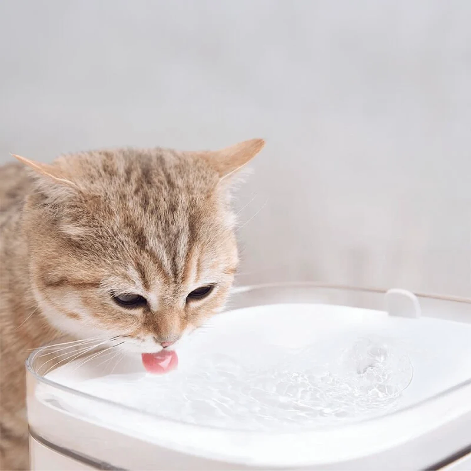 Xiaomi Smart Evcil Hayvan Su Çeşmesi