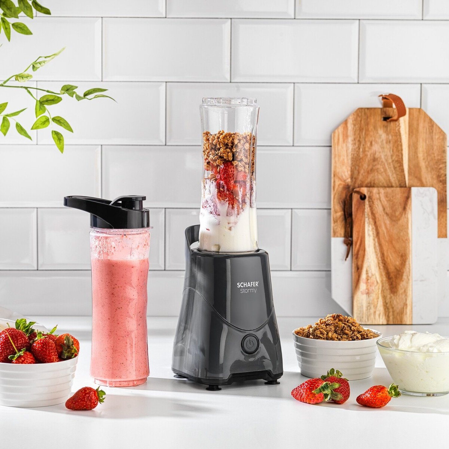 SCHAFER STORMY KİŞİSEL BLENDER - Görsel 7