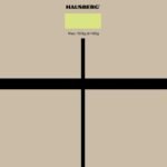 Hausberg Hb6003 Baskül - Görsel 4