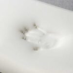 Orkide Boyun Korumalı Visco Yastık - Görsel 4