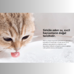 Xiaomi Smart Pet Fountain 2 Akıllı Su Kabı - Görsel 3