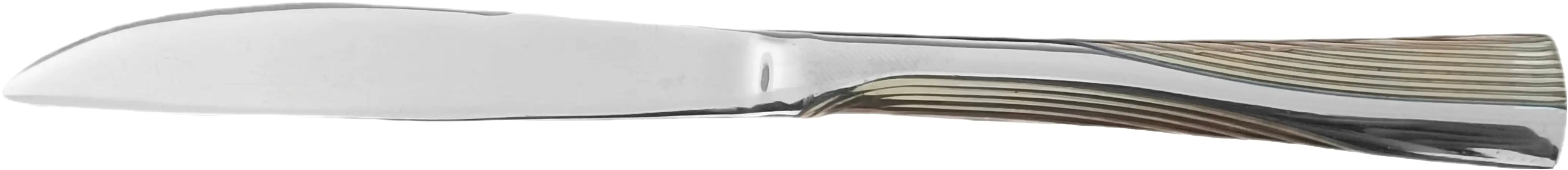 ZCT4126 Yemek Bıçağı 6lı Set