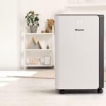 HISENSE D20CW 4.2 LT. NEM ALMA CİHAZI