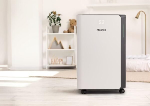 HISENSE D20CW 4.2 LT. NEM ALMA CİHAZI