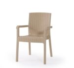 Heniver Vektör Rattan Sandalye