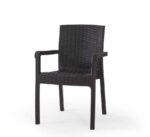 Heniver Vektör Rattan Sandalye - Görsel 3