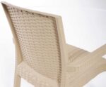 Heniver Vektör Rattan Sandalye - Görsel 4