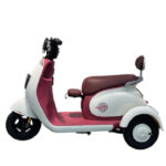 QUEEN 004 Elektrikli Scooter - Görsel 2