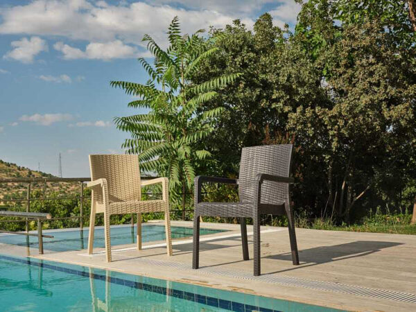 Heniver Vektör Rattan Sandalye