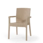 Heniver Vektör Rattan Sandalye - Görsel 2