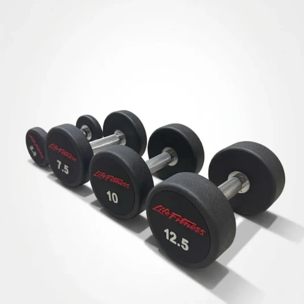 DAMBIL SPOR ALETI 2,5 KG